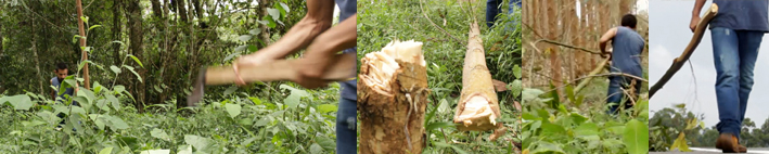 6-Correspondencia-Johnatan-Lopez-Rodriguez-Pererira-PerfoArtNet-2020